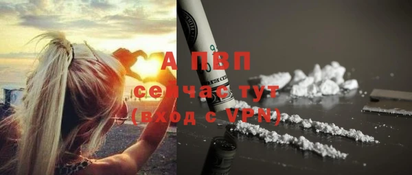 амф Заволжье