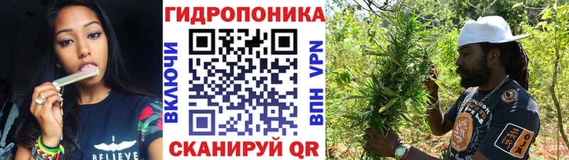 цена наркотик Кукмор Бошки Шишки гибрид